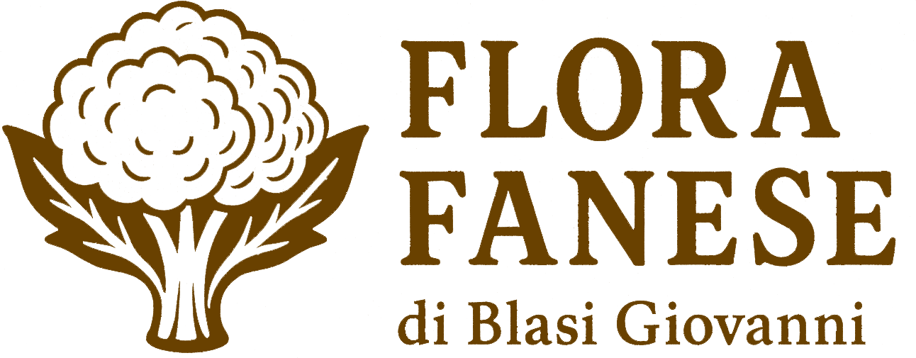 Azienda Agricola Flora Fanese di Blasi Giovanni